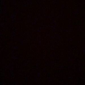 Meet your Posher, Daisy